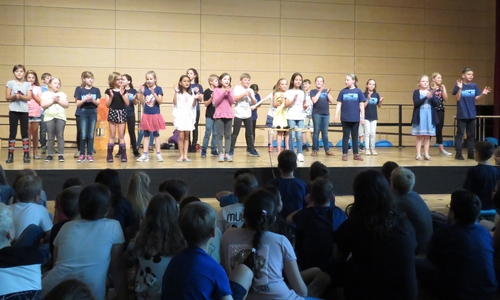 Es wurde ein abwechslungsreiches Programm geboten. Fotos: Wilhelm-Raabe-Schule