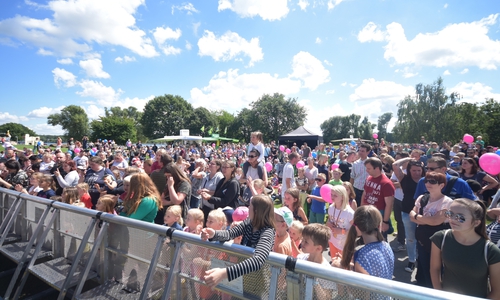 Das traditionelle Sommerfest lockt am 21. Juli wieder zahlreiche Familien in den Allerpark. Foto: Wolfsburg AG/Jenko Sternberg Design