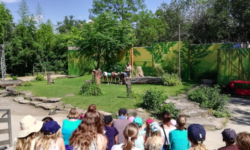 Die Kinder können viel erleben in den Ferien. Fotos: Stadtjugendpflege Wolfenbüttel 