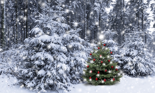 Finden Sie den geschmückten Weihnachtsbaum. Foto: HAHNENKLEE tourismus marketing gmbh