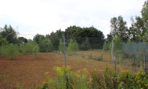 Wird das Vorhaben "Jugendplatz" noch dieses Jahr umgesetzt? Foto: Archiv