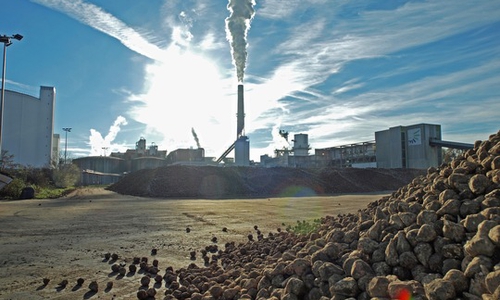 Jetzt geht es wieder los in der Zuckerfabrik. Foto: Nordzucker AG