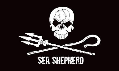 Ein Referent direkt von Sea Sheppard ist bei den Linken zu Gast. Foto: Privat