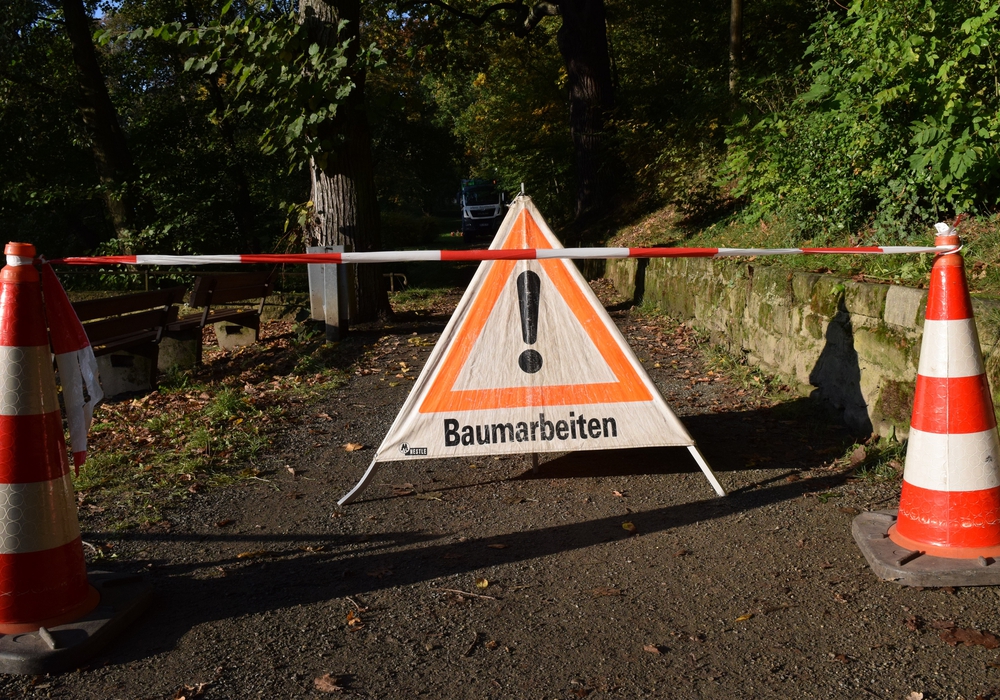 Massiver Mistelbefall, Fäulnis, Pilze: Im Stadtpark Oker werden kranke Bäume gefällt. Symbolfoto: Stadt Goslar