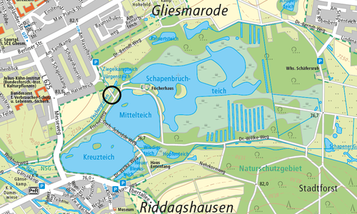 Darstellung. Stadt Braunschweig