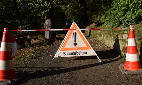 Massiver Mistelbefall, Fäulnis, Pilze: Im Stadtpark Oker werden kranke Bäume gefällt. Symbolfoto: Stadt Goslar