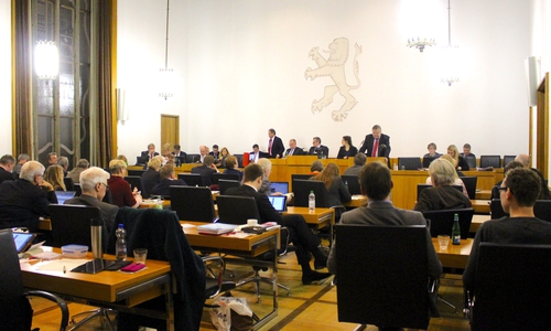 Die Ratsmitglieder debattierten in ihrer Sitzung über die Einwohnerbefragungen. Foto: Nick Wenkel