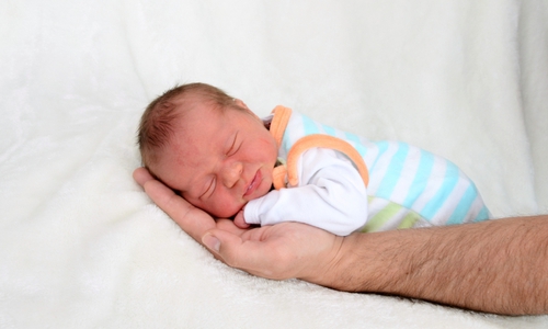 Willkommen, Maximilian Seifrid. Foto: babysmile24.de