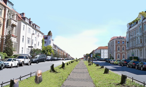 So sähe die Straße ohne Bäume aus. Darstellung: BI Baumschutz