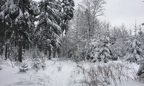 Symbolbild. Anke Donner