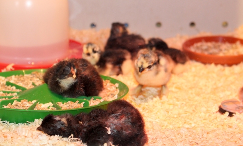 Archivbild von 2019.