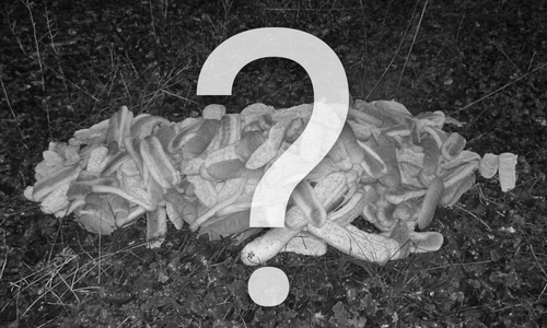 Der Fall konnte endlich geklärt werden. Foto: Polizei