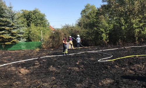 Die Feuerwehr aus Grasleben half bei einem Waldbrand in Sachsen-Anhalt. Fotos: Feuerwehr Grasleben