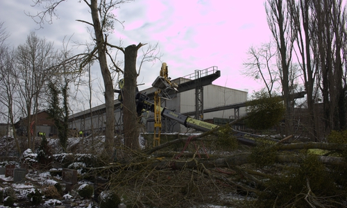 Ursache für den Unfall sollen Baumschnittarbeiten gewesen sein. Foto: Nino Milizia, Video: aktuell24/kr