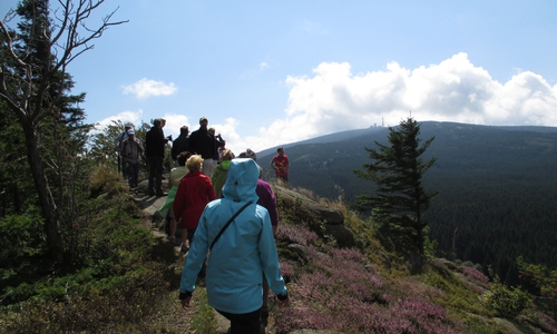 Auf der Afterwork-Wanderung durch den Harz . Symbolfoto: Kur- Tourismus- und Wirtschaftsbetriebe  der Stadt Bad Harzburg GmbH