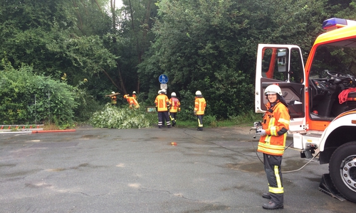 Die Feuerwehr musste große Teile des Baums entfernen. Fotos: Feuerwehr Braunschweig