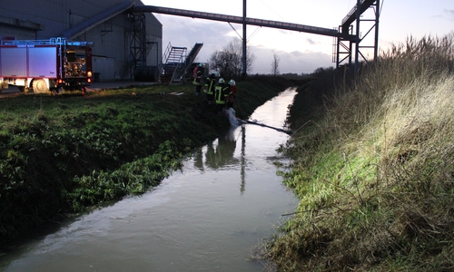 Der Ölfilm auf der Aue breitete sich glücklicherweise nicht weiter aus. Foto: Feuerwehr