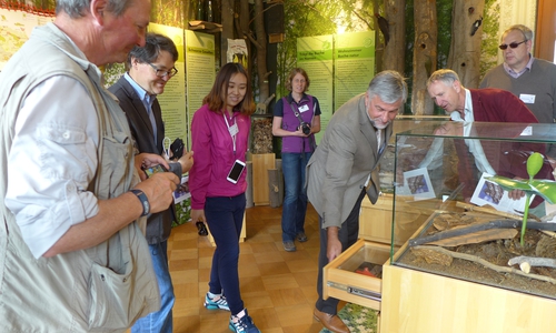 In der Natura 2000-Ausstellung „Buchen musst du suchen …!“ im Schloss Stolberg. Foto: Reuter/RVH