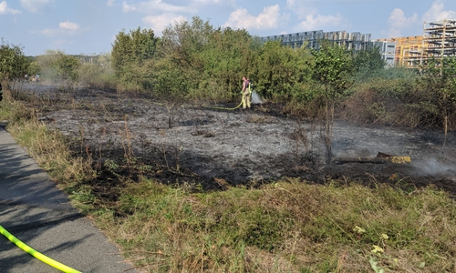 Die Feuerwehr konnte den Brand ablöschen. Foto: Feuerwehr 