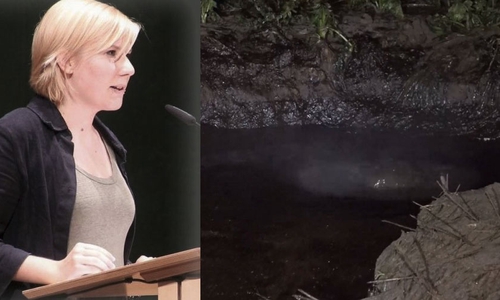 Imke Byl erneuert ihre Forderungen nach einer Regulierung von Bohrvorhaben. Foto: Grüne; aktuell(24)