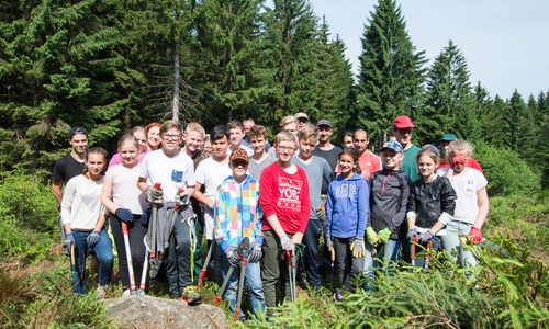 Die 6a vom Landschulheim Grovesmühle beim Sozialtag im Harz. Foto: Nationalpark Harz