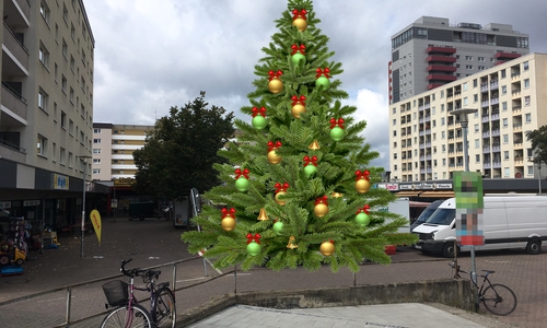 Ob es in der Vorweihnachtszeit auf dem Erfurtplatz einen Weihnachtsbaum geben wird, ist noch unklar. Foto: Alexander Dontscheff/pixabay