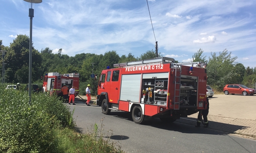 In der Wolfenbütteler Innenstadt kam es zu einem weiteren Flächenbrand. Fotos: Nils Willke