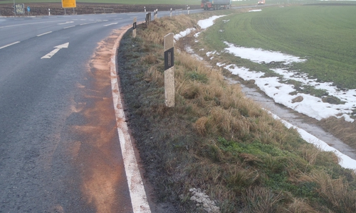 Verunreinigte Böden und Gewässer an der B 82. Foto: Landkreis Wolfenbüttel