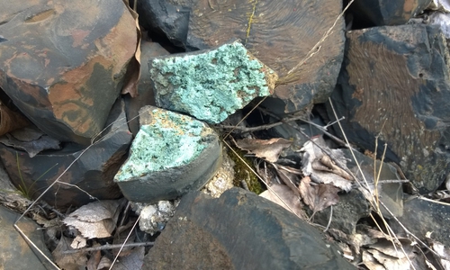 Kupferhaltige Schlacken des Okerdamms. Foto: BUND Westharz