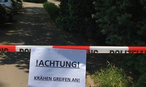 Ein kleiner Bereich des Kiryat-Tivon-Parks musste vorübergehend gesperrt werden. Foto: Polizei Braunschweig