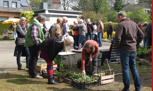 Pflanzenbörse in Gilzum, Foto: Privat