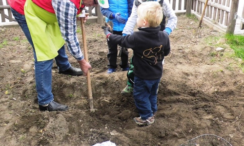 Kinder bei der Kartoffelernte. Foto: Privat