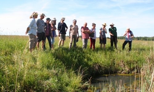 Feldhüter Robert Slawski führte Mitglieder und Interessierte der 
Veltheimer Amphibienschutzgruppe über die Herzogsberge. Foto: Privat