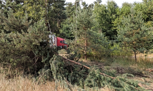 Der LKW kam nach der Kollision von der Fahrbahn ab. Fotos: Feuerwehr Helmstedt