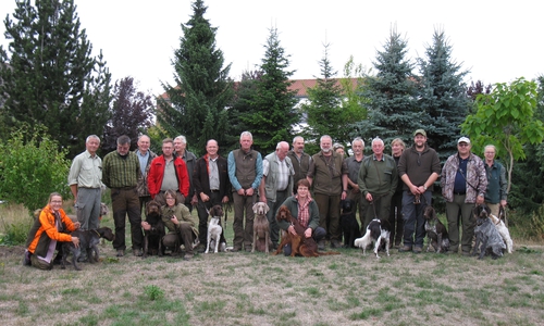 Hunde für den zukünftigen "Beruf" ausgebildet. Foto: Jürgen Ronge