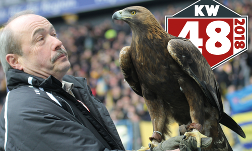 Ein Adler-Wochenende für einige unserer regionalen Teams. Foto: Frank Vollmer/Archiv