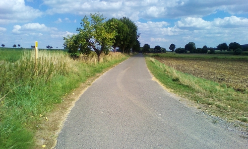 Die Linken und die Grünen in Baddekcenstedt wollen sich für den Artenschutz einsetzen. Foto: Gerhard Schrader 