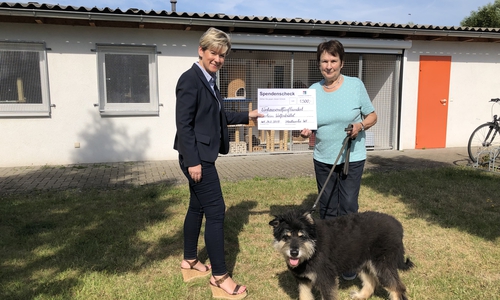 Kerstin Hecker übergibt den Scheck an Ute Rump.

Foto: Stadtwerke Wolfenbüttel