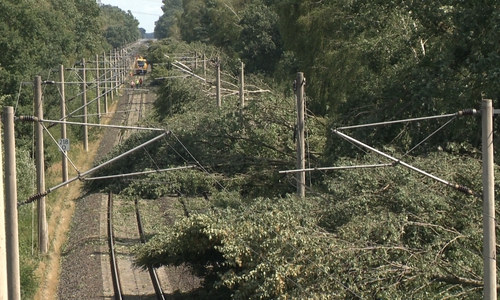 Teilweise stürzten während des Unwetters ganze Baumreihen auf die Gleise. Foto: aktuell24