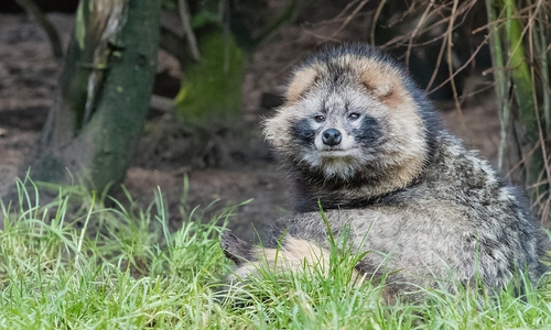 Symbolfoto: pixyabay