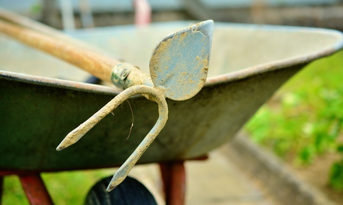 Symbolfoto: pixabay