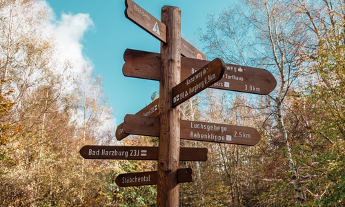 Den Tag hinter sich lassen und die Natur bewusst wahrnehmen... Foto: Stadt Bad Harzburg
