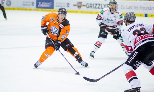 Grizzlys ließen Haien keine Chance. Foto: Reinelt/Presseblen.de
