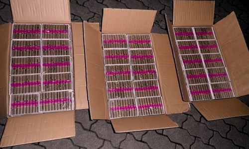 Feuerwerk sichergestellt. Foto: Hauptzollamt Braunschweig