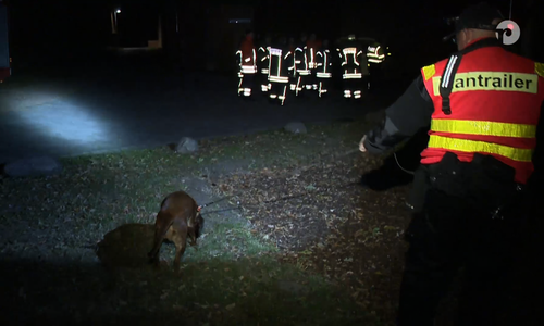 Wir begleiteten die nächtliche Suchaktion. Als diese nach Stunden ergebnislos blieb, ging man bereits vom Schlimmsten aus. Foto/Video: aktuell24