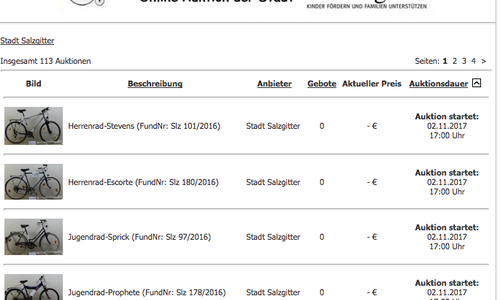 Man kann wieder viele Fundsachen bei der Stadt ersteigern. Bild: Screenshot 