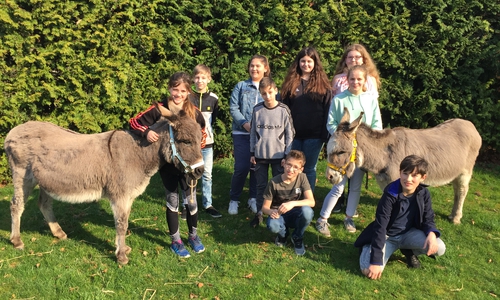 Esel Peppino, Frederike Mehliß, Luce Wägeling, Zeynep Ünver, Niklas Scheller, Nico-Leon Georgius, Marietta Reinecke, Elina Leide, Angelina Schneider, Esel Mohar, Marno Morales Schütz. Foto: Adolf-Grimme-Gesamtschule Goslar

