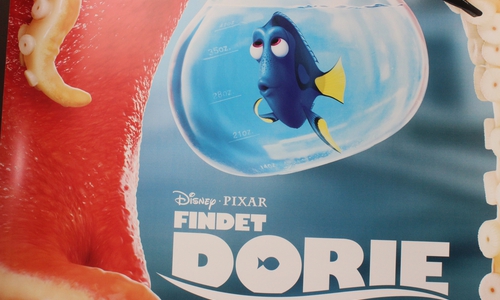 Das Cinestar und regionalHeute.de verlosen Tickets für "Findet Dorie".  Foto: Anke Donner