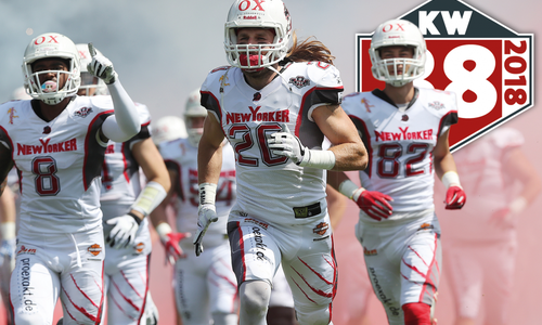 Start der Playoffs für die Lions. Foto: Agentur Hübner