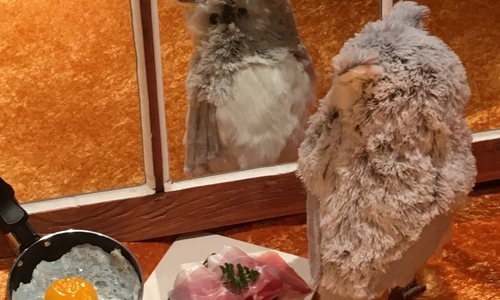 Mit „deftiger Kost und humorvoller Würze“ auf den Spuren von Till Eulenspiegel. Foto: CDU-Kreisverband Wolfenbüttel